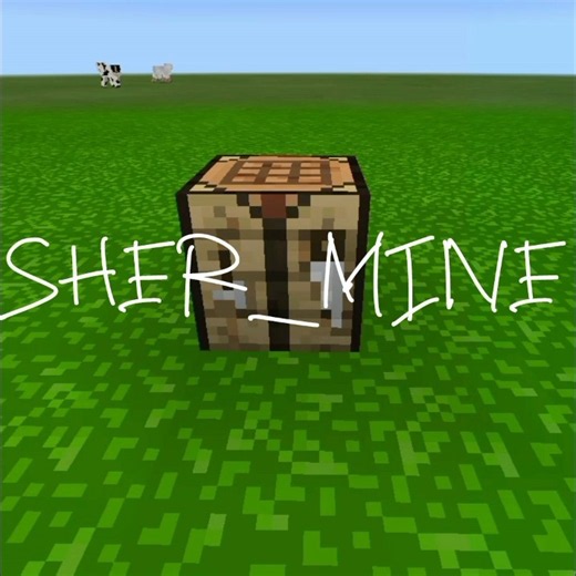 LERAKLI BLOCKLAR 🗿 #minecraft #edit #subscribe