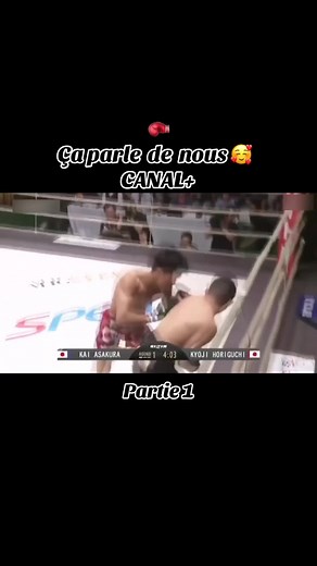 Arts Martiaux Mixtes à Cotonou, Bénin : Défis et Ambitions