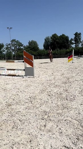 Reitsporttraining für das Springen: Expertentipps