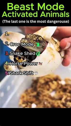 Beast Mode Activated 🐾 Cute… Then SAVAGE #transformation #shorts