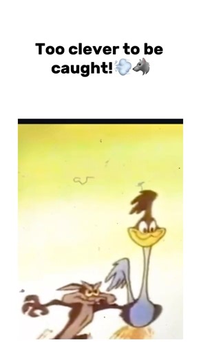 Road Runner: Master of Speed 🏃‍♂️💨#shortvideo #roadrunner #animals