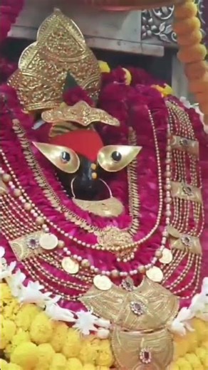 *माँ विंध्यवासिनी* का *दिव्य घंटा घड़ियाल ध्वनि वाला आरती दर्शन* 🙏 (दोपहर राजश्री आरती)21.12.2025