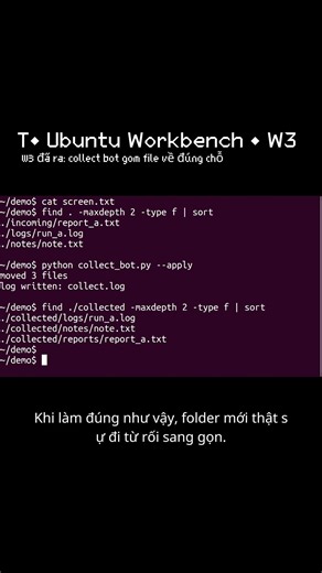 T• W3 đã ra — collect bot gom file về đúng chỗ | Bonus (Ubuntu Workbench) #ubuntu #terminal #python