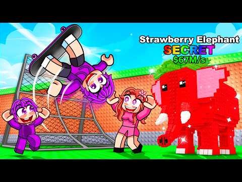 SKATEBOARD FOR BRAINROTS…