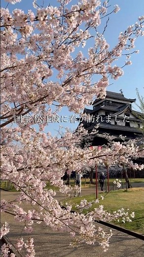 春の松江城をぶらり歩き🌸