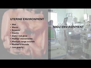 Designing Calm: Transforming the NICU sensory experience with a NIDCAP approach