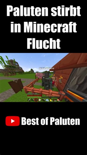 best.of.paluten on TikTok