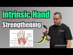 Intrinsic Hand Strengthening Exercises | Improve Grip Strength & Hand Function