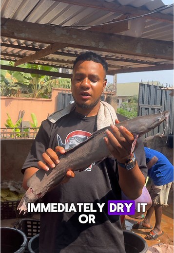 Fish Magnet🦈🧲 (@fishmagnett) - Effective Fish Processing Techniques for Fish Farmers