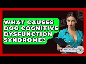 What Causes Dog Cognitive Dysfunction Syndrome? - Ask A Pet Vet