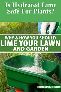 Is hydrated lime safe for plants? - TimesMojo