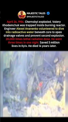 THE ENGINEER WHO WALKED INTO CHERNOBYL REACTOR 3 T