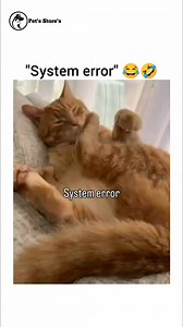 495K views · 14K reactions | Like system error  | Pet's Store's | Facebook