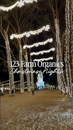 123 Farm Organics’ Christmas Nights opens November 6, 2025