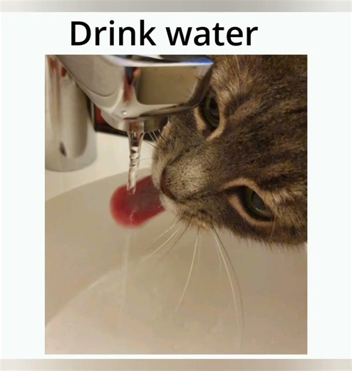 Water solves all the problems #memes #funny #relatable #shorts #lifeisbutadream