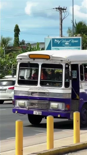 24 hours in Nadi, Fiji changed everything 🌴😮 #shorts
