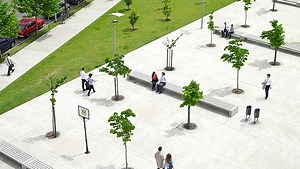 IFRSを開示で読み解く