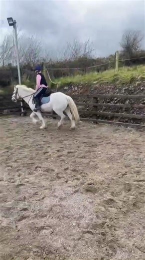 O myyuy lily was so good today #horse