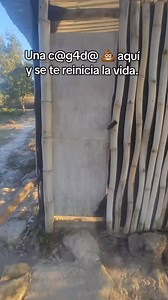 Mas un porrit0 ufffffffffffff | Sr. Cogollo