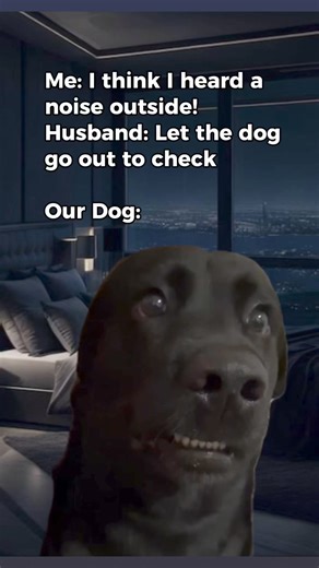 The dog be like “I’m sorry what?” 😂 #dogmeme | Life With Dogs