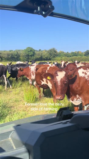 Embracing Dairy Farming in the UK