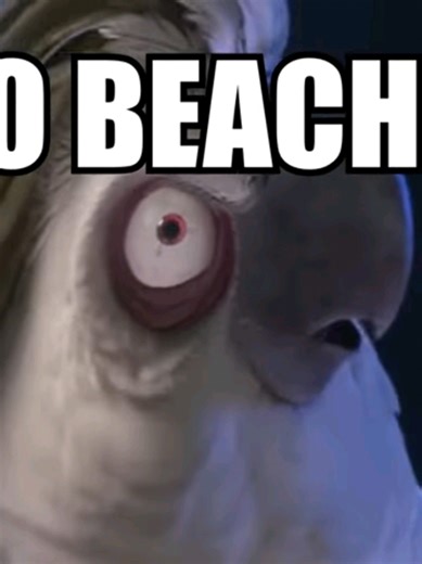 Exploring Kitsubee Styles: New vs. Old