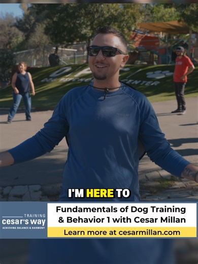 There’s something powerful about hearing real stories in real time. 🐾 People from all walks of life coming together, sharing what they’ve experienced, what they’ve overcome, and what they’re stepping into next. The in-person training program isn’t just about dog behavior. It’s about building confidence, leadership, clarity, and connection. You can see it in their faces. You can hear it in their voices. Growth. Breakthrough. Purpose. The Fundamentals 1 and 2 Workshops are currently SOLD OUT! Joi