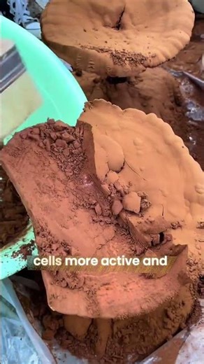 Why do Chinese People Harvest This Mushroom Powder? #farming #agriculture #tips