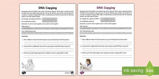 DNA Copying Worksheet