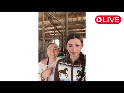 Wild Adventure Girls is LIVEl! #shorts #viral