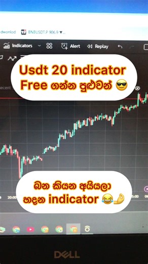 Understanding Indicators in Trading