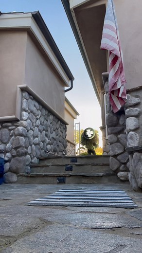 Rudy Padrol on Reels