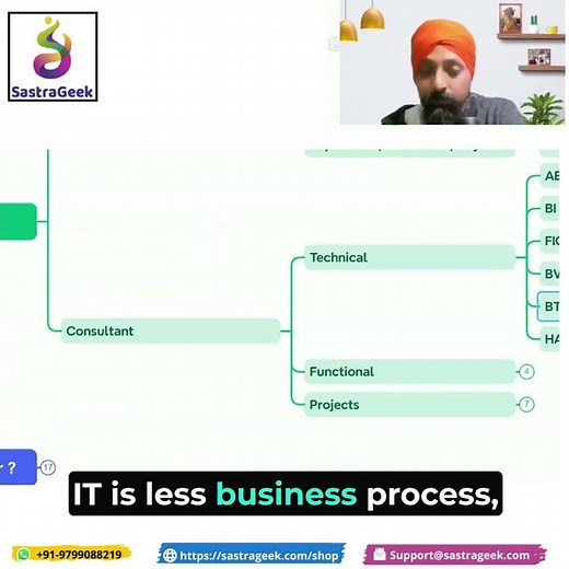 Role of Technical Consultants in SAP