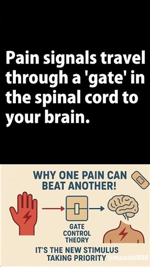 🩹This is Why One Pain Can Beat Another #shorts #science #nature