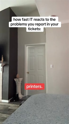 Carter Loraine on Instagram: "i gave winnie (the cat) treats at the end don’t worry. #informationtechnology #helpdesk #technology #computerrepair #it"