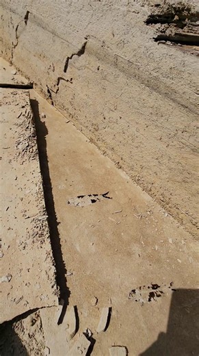 Finally had the opportunity to get back into the quarry with new changes on horizon, We are excited about this year and about the coming future. #fossils #fossilshop #fossilscience #quarry #next #nexlevel #fossil #wow #paleontologist #palaeontology #dig | In Stone Fossils