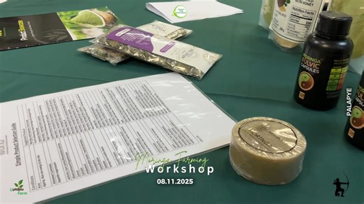 3.8K views · 37 reactions | What an incredible start to a...