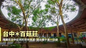 【Y小編帶你吃喝玩樂】農場一日遊～體驗採果賞花樂趣多