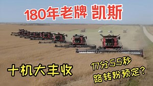 10台凯斯轴流联合收割机实现大丰收 凯斯四履带搭Brent转运车 加拿大粮仓萨斯喀彻温省 沃尔沃半挂
