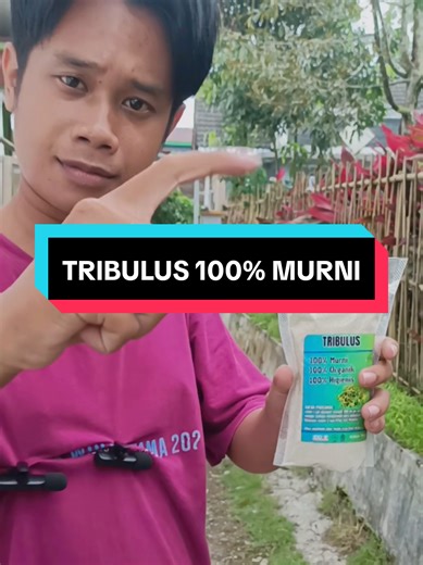 bubuk tribulus original 100% #bubuktribulusmurni #tribulusterrestris #tribulus