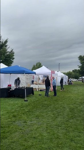 Meridian Fine Art Festival draws crowds to Kleiner Park with 150-plus Northwest vendors