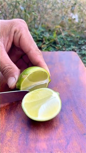 Survival Skills SIMPLE and USEFUL save SOAP_Water in forest #bushcraft #camping #outdoors