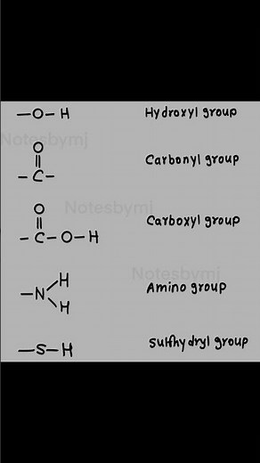 Functional Groups Explained (With Diagram) | High School Chemistry Basics