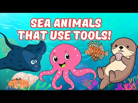 Top 10 Sea Animals That Use Tools! 🐙🔨 | Ocean Geniuses (Fun for Kids)