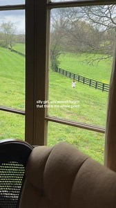 sometimes you need to lolly gag | Clean yourhomee