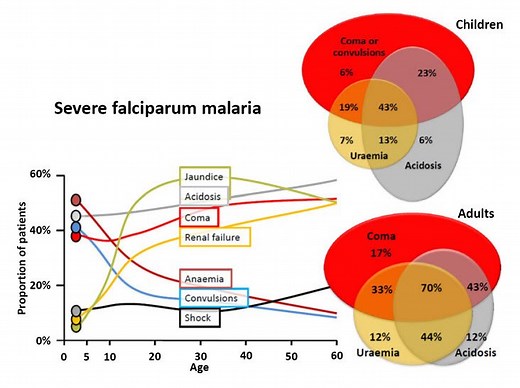WHO Definition of Severe Malaria - Public Health