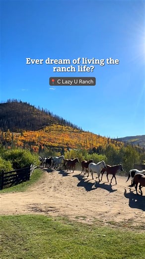 Dust off those boots, we’re living out our western dreams in the Rockies! https://bit.ly/47as6jH 📍C Lazy U Ranch | Visit Colorado