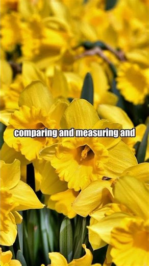 Unlocking Angelic Support in Your Life | Abraham Hicks #Shorts