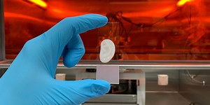 Did you hear about the lab-made ear?