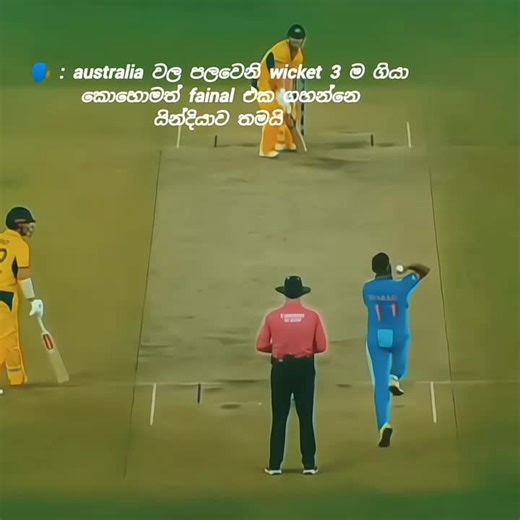 2023 Cricket World Cup Final: India vs Australia Highlights